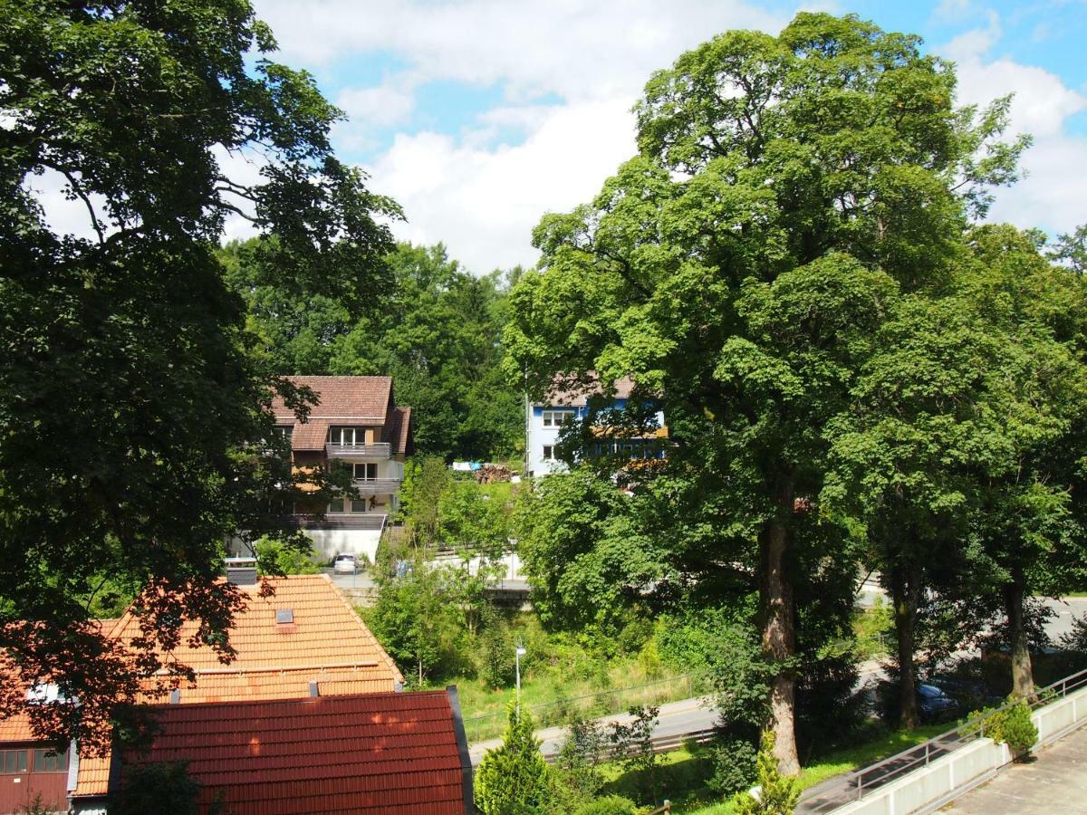 Apartment Harzgruen Sankt Andreasberg Esterno foto